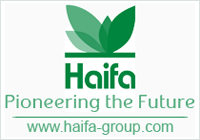 haifa-group_logo